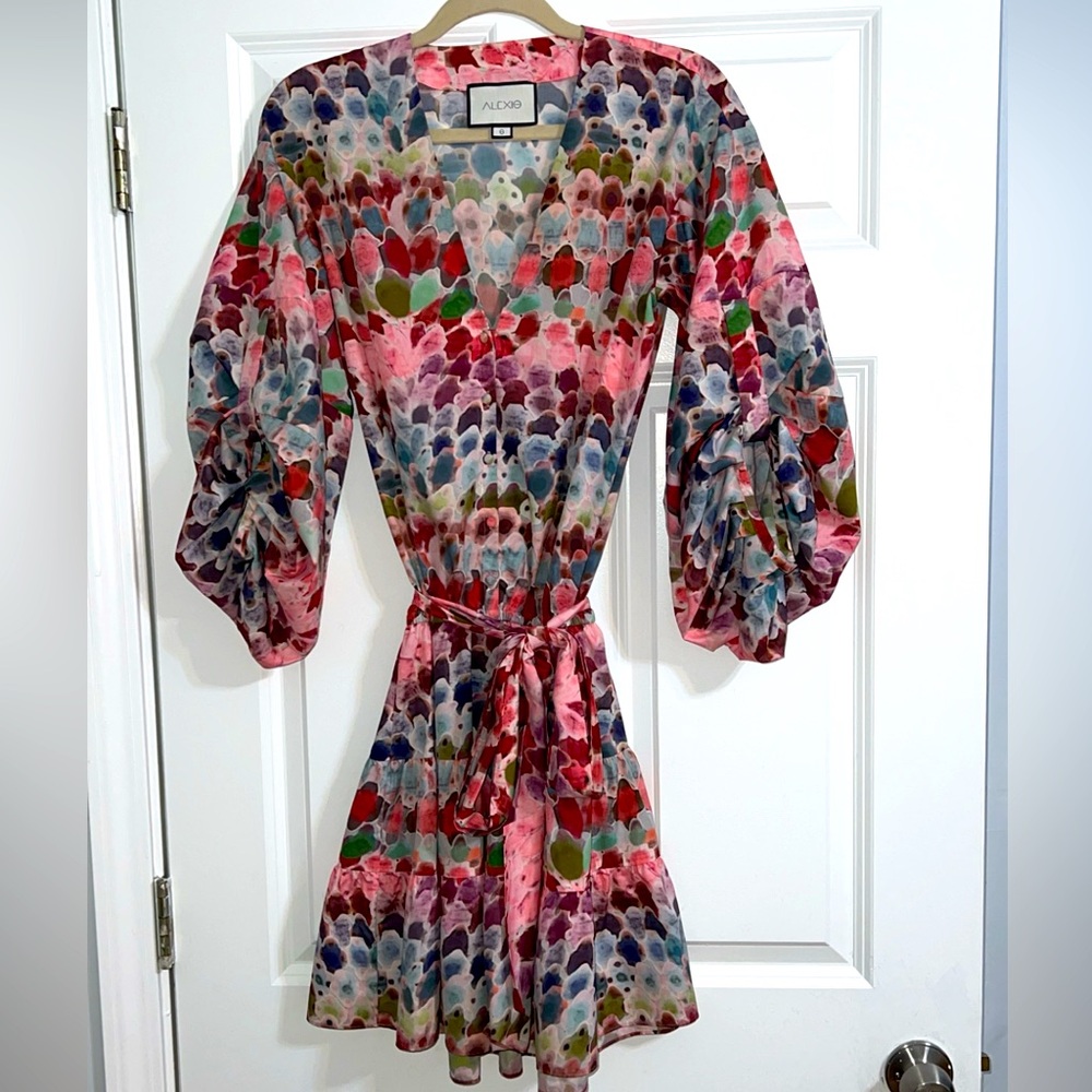 Alexis multicolored dress